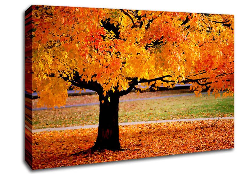 Orange Autumn Tree Canvas Wall Art - Zestio