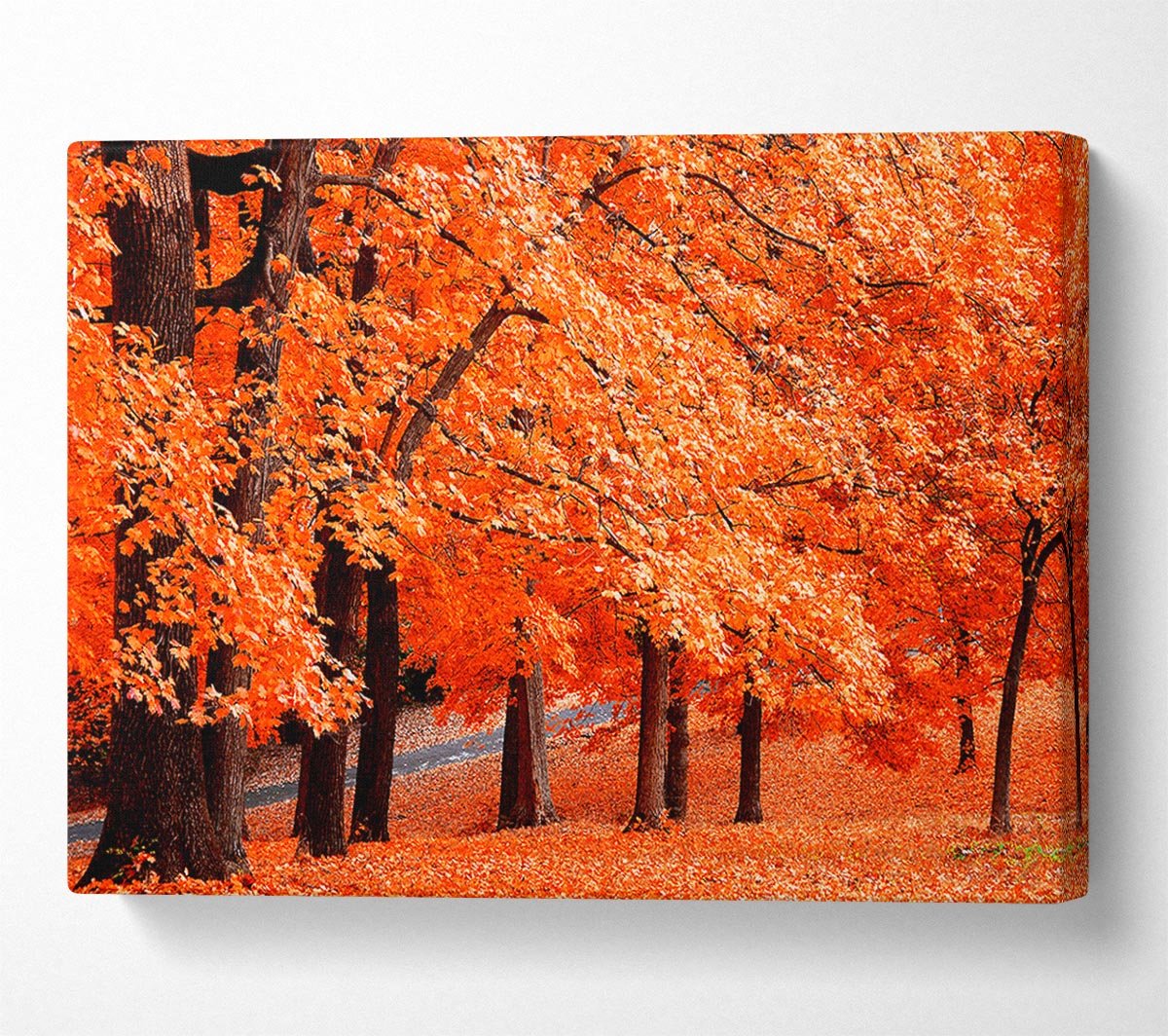 Orange Tree Parade Canvas Wall Art - Zestio