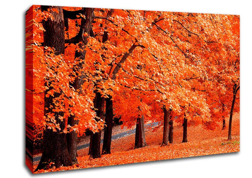 Orange Tree Parade Canvas Wall Art - Zestio