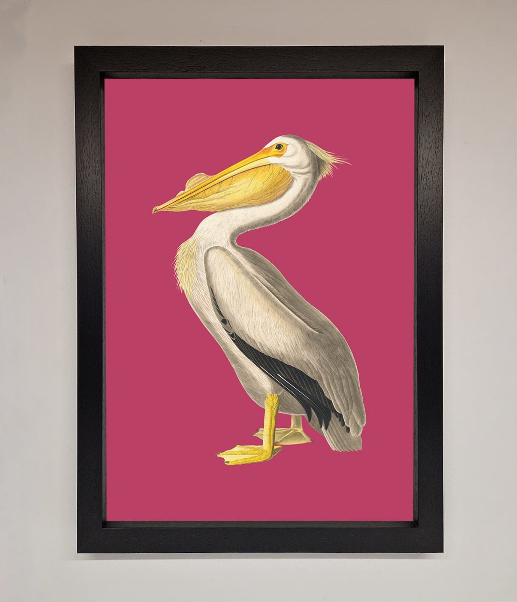Pelican On Pink Framed Poster - Zestio