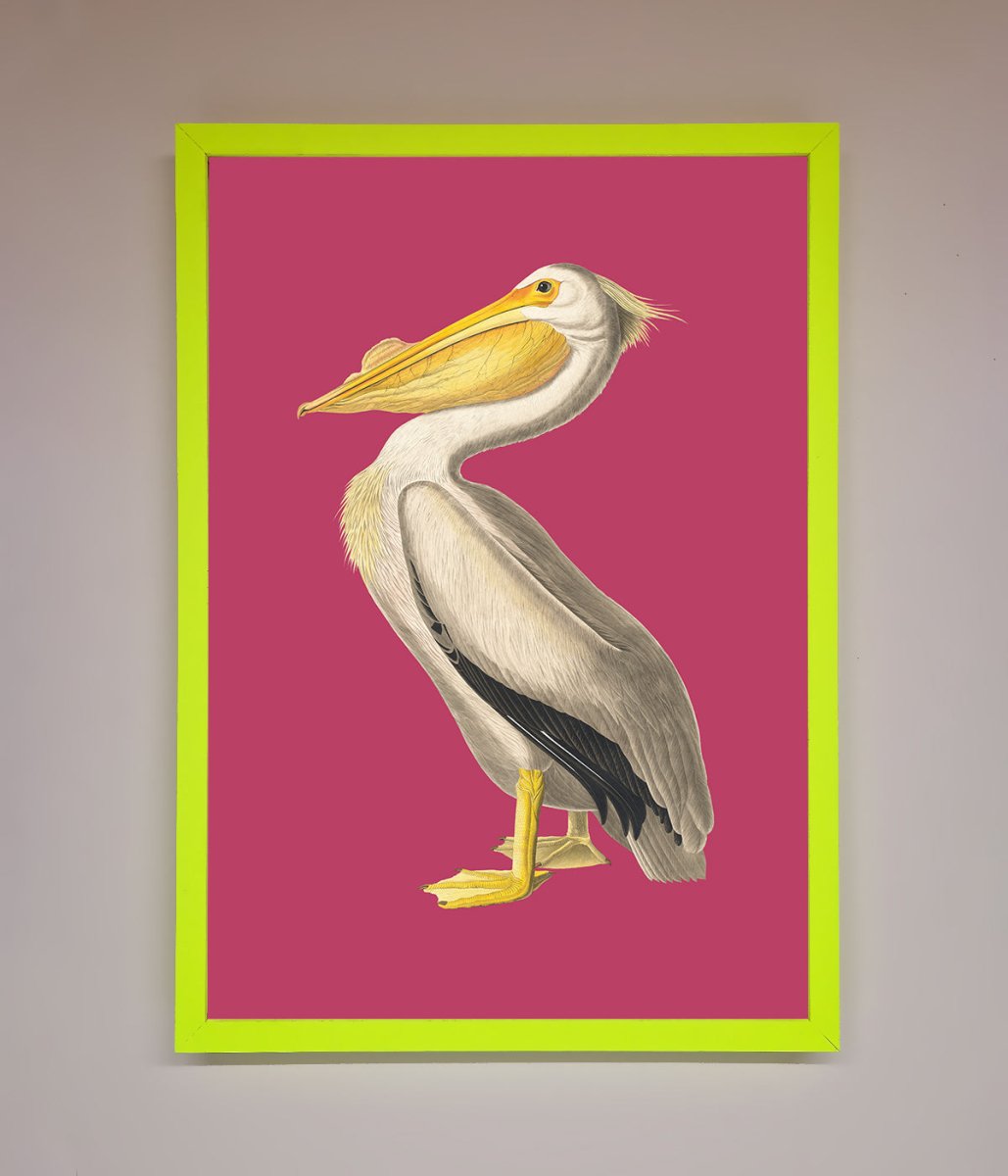 Pelican On Pink Framed Poster - Zestio