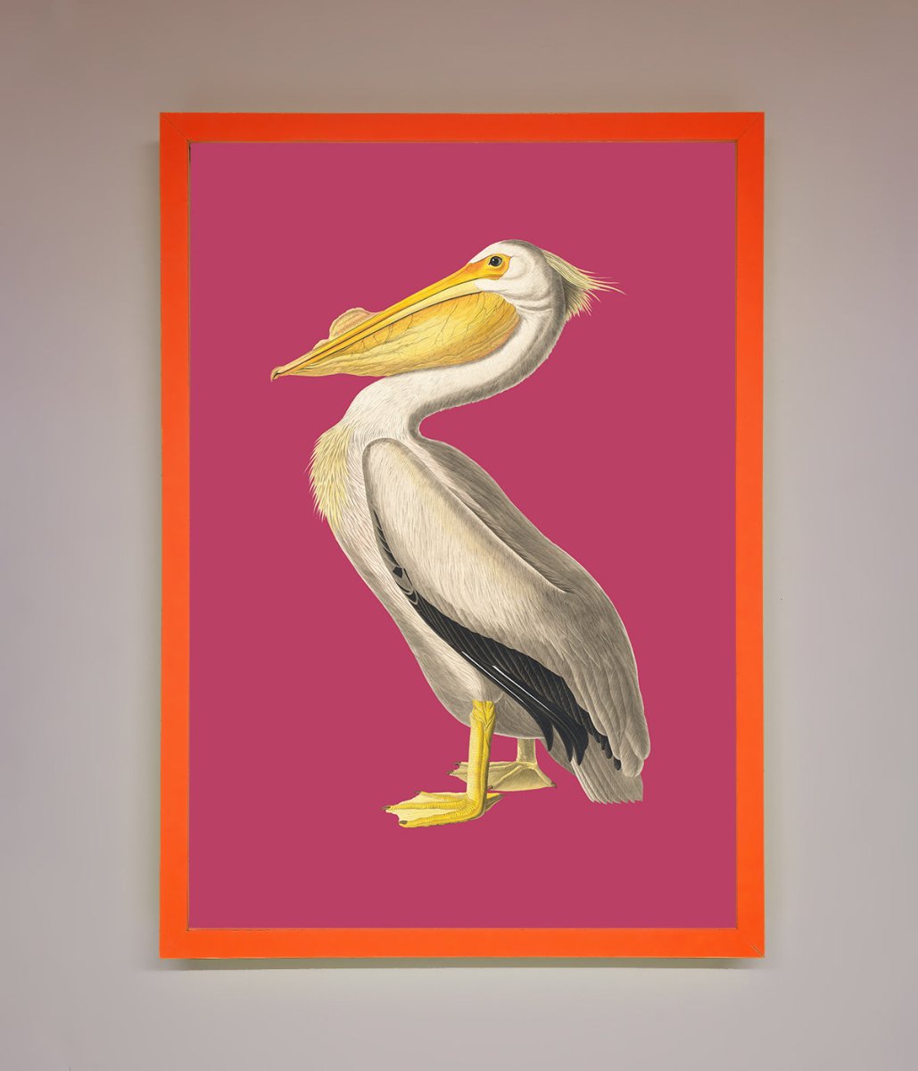 Pelican On Pink Framed Poster - Zestio