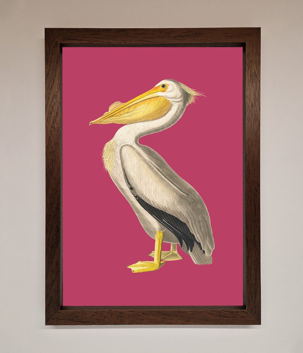 Pelican On Pink Framed Poster - Zestio