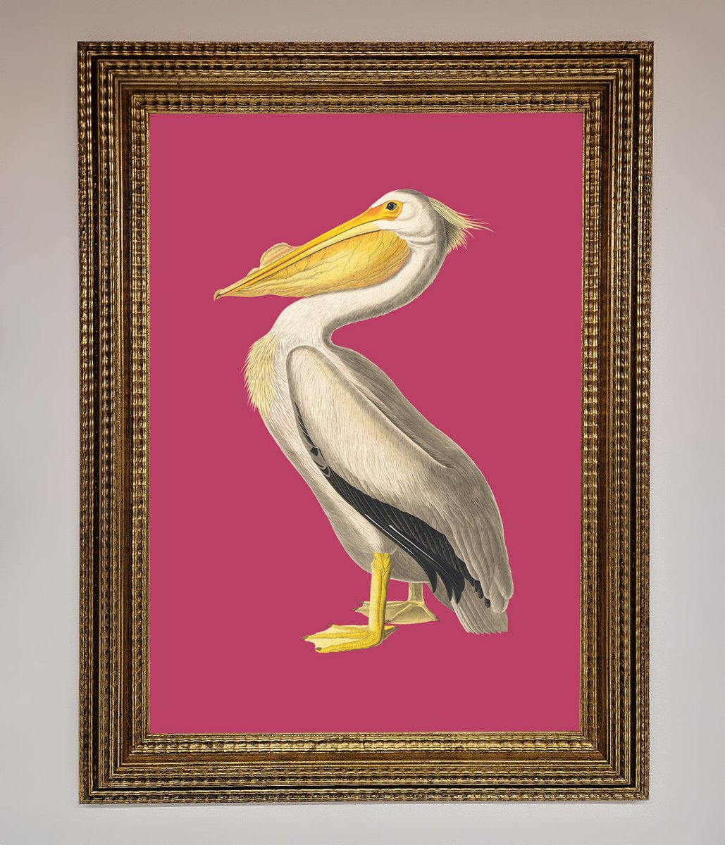 Pelican On Pink Framed Poster - Zestio
