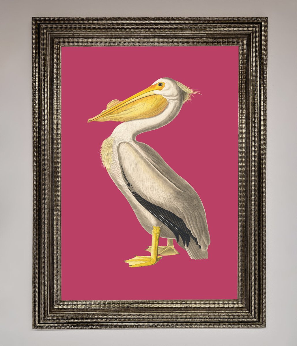 Pelican On Pink Framed Poster - Zestio