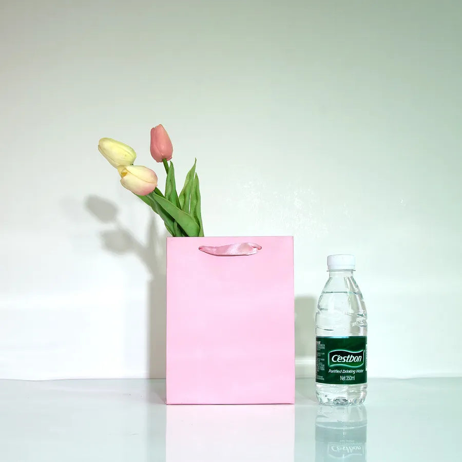 Simple Style Solid Color Paper Gift Bag