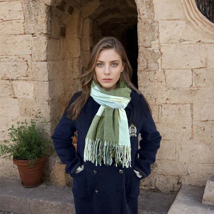 women's casual simple style color block imitation cashmere tassel scarf
