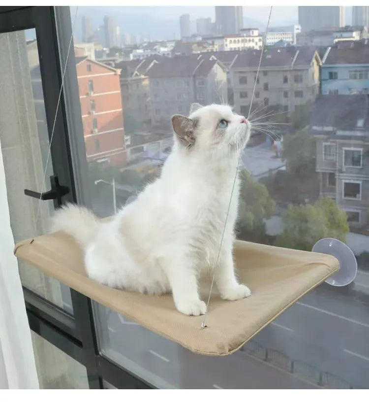 simple style plastic solid color pet pad