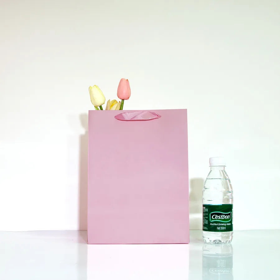 Simple Style Solid Color Paper Gift Bag