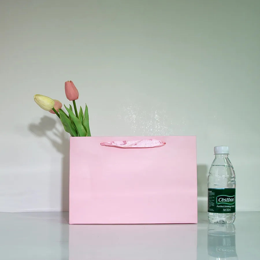 Simple Style Solid Color Paper Gift Bag
