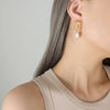 Fashion Square Plating 304 Stainless Steel Freshwater Pearl 18K Gold Plated Earrings