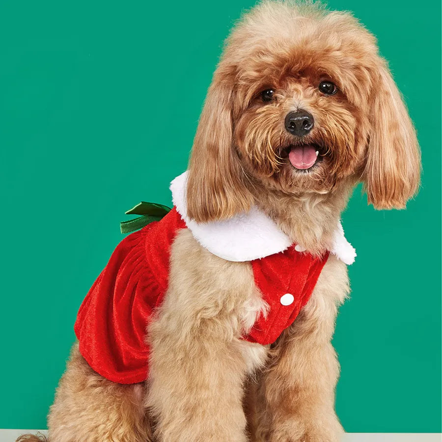 Christmas Theme Green Bow Tie Red Christmas Skirt Warm Small Medium Pet Sweater Princess Style Velvet Material Dog Clothes