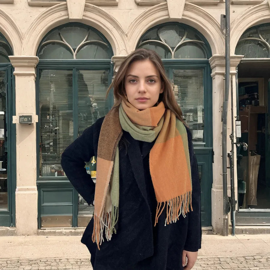 women's casual simple style color block imitation cashmere tassel scarf