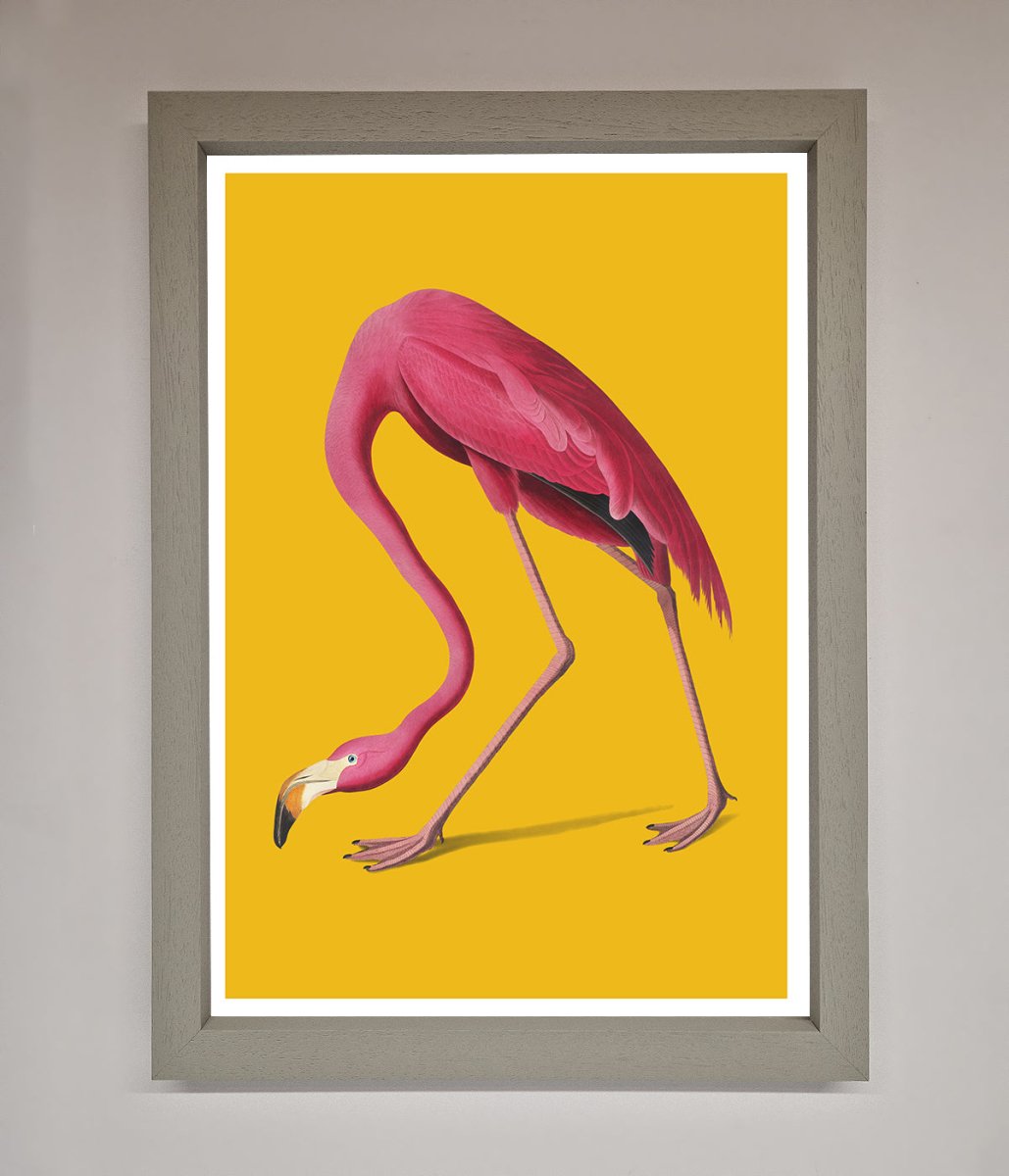 Pink Flamingo On Yellow Framed Print - Zestio