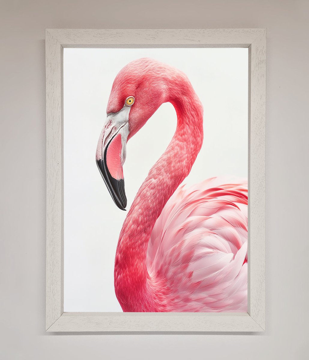 Pink Flamingo Stare Framed Print - Zestio