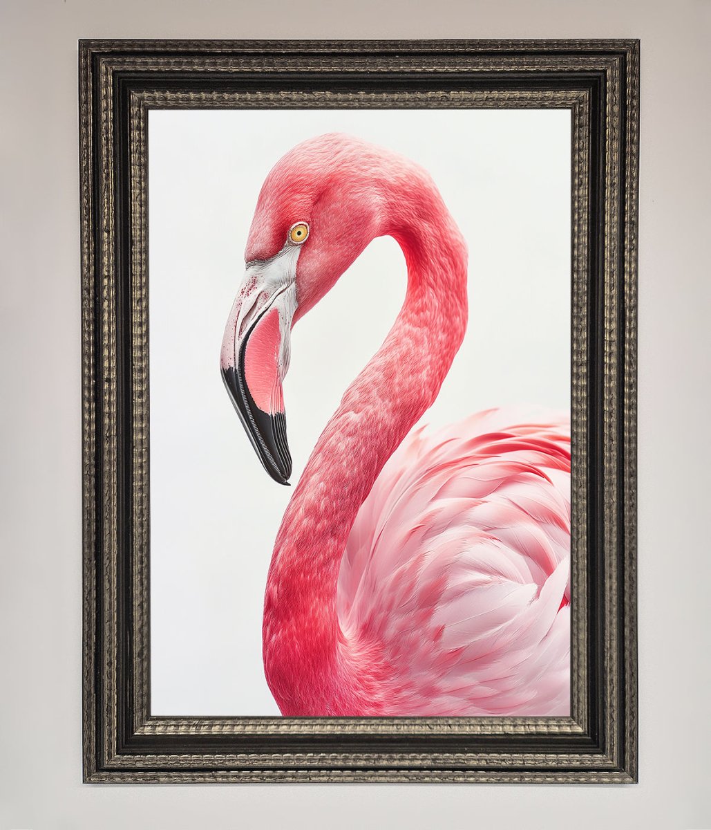Pink Flamingo Stare Framed Print - Zestio