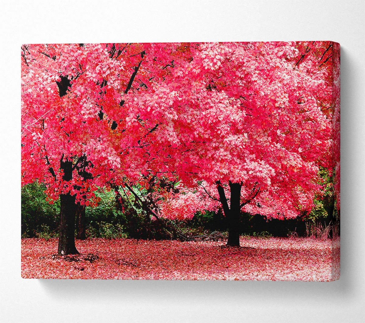 Pink Tree Heaven Canvas Wall Art - Zestio
