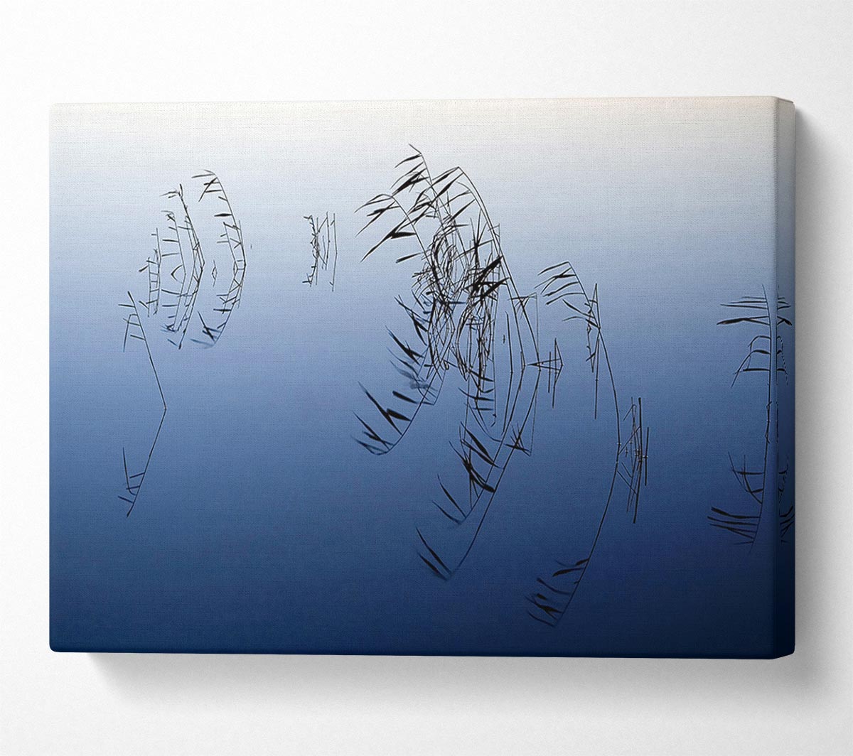 Pond Reeds Canvas Wall Art - Zestio
