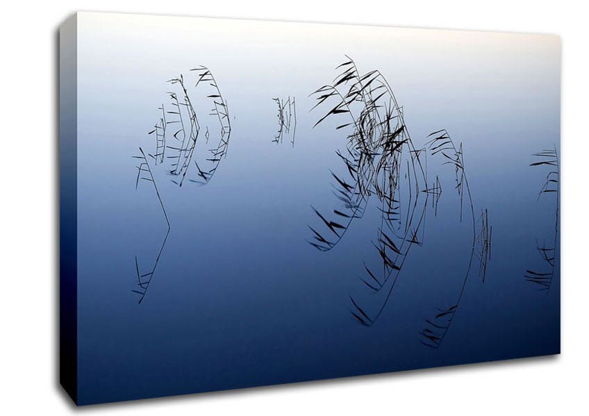 Pond Reeds Canvas Wall Art - Zestio