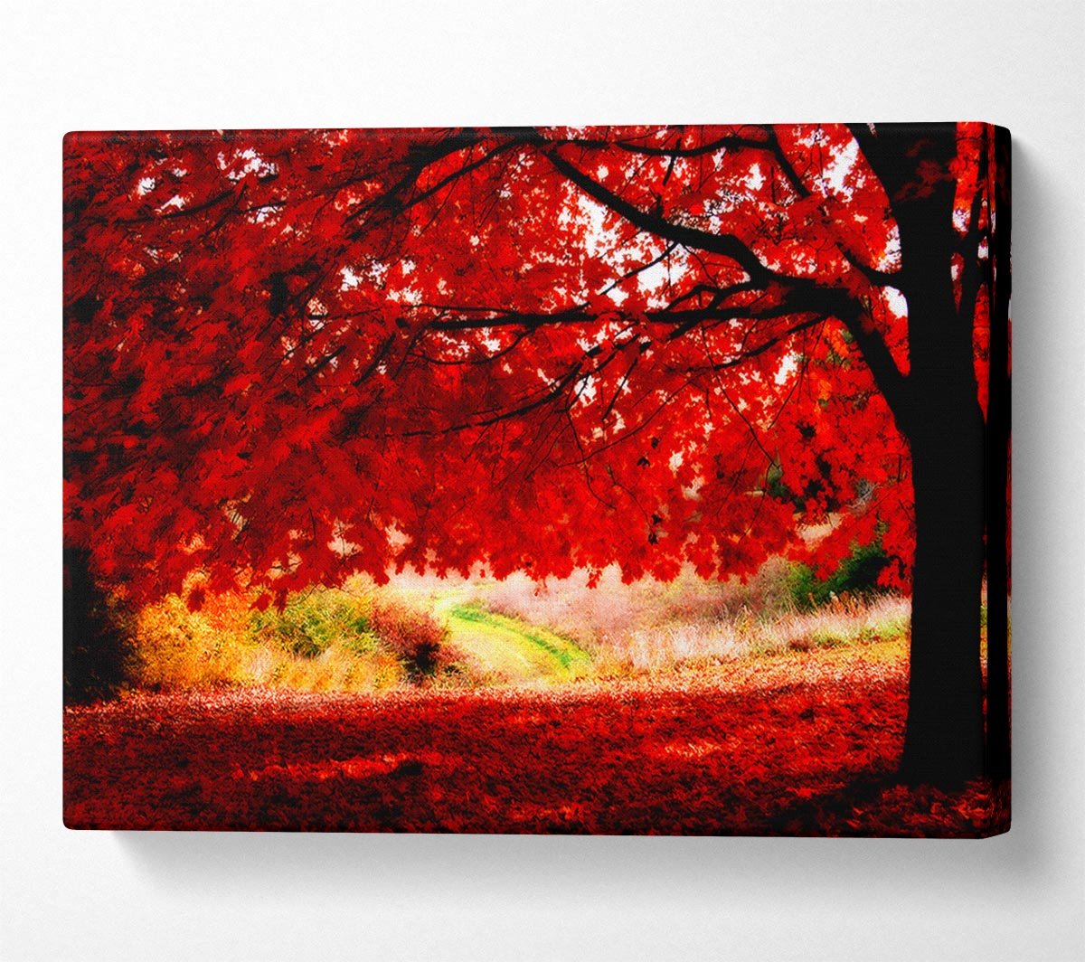Red Autumn Tree Canvas Wall Art - Zestio