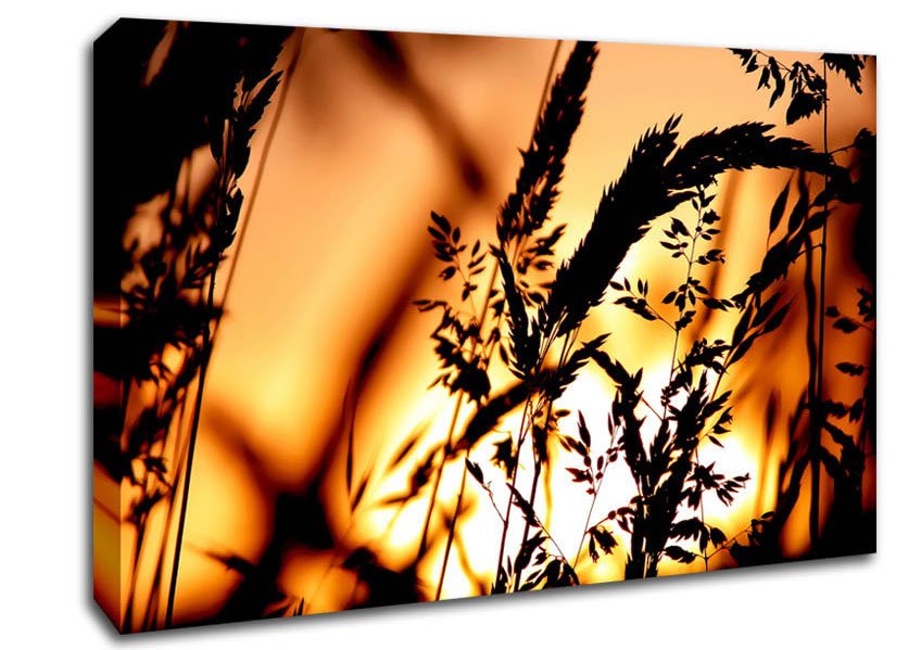 Reed Sunset Canvas Wall Art - Zestio
