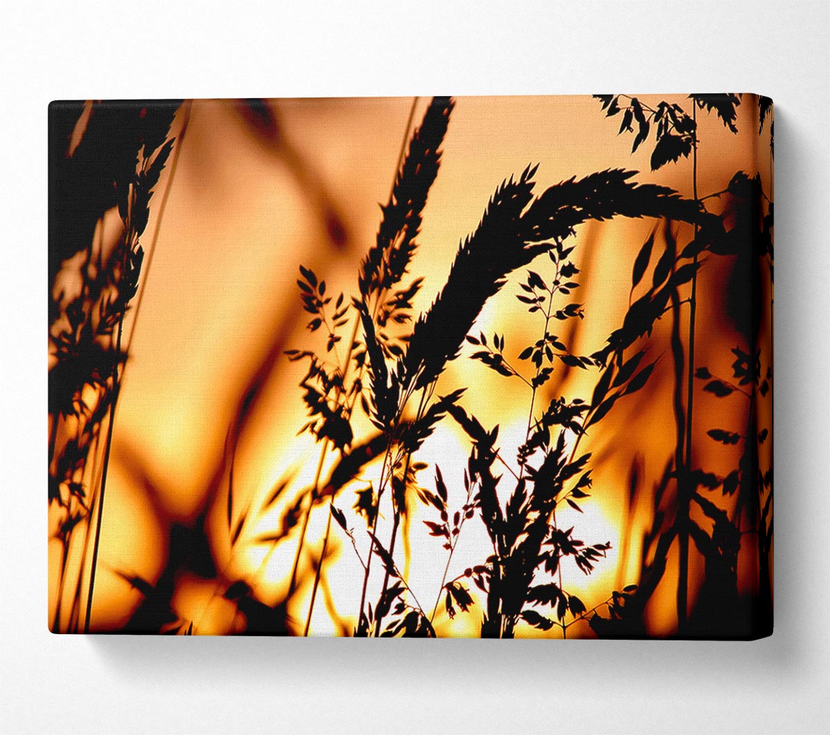Reed Sunset Canvas Wall Art - Zestio