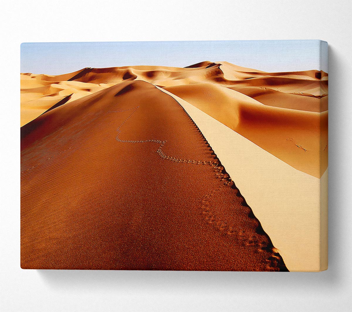 Sand Dune Patterns Canvas Wall Art - Zestio
