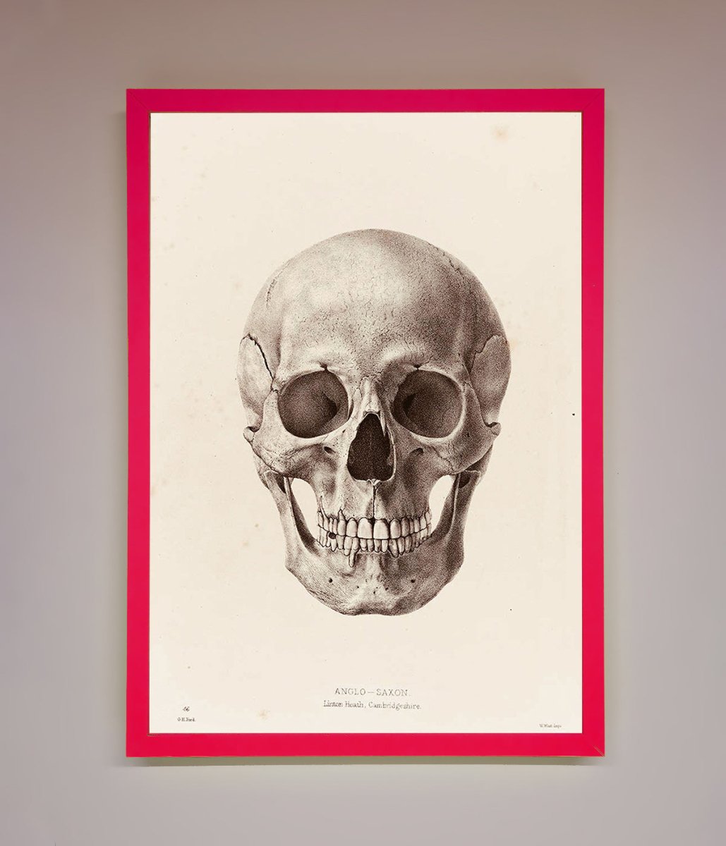 Skull Science Framed Poster - Zestio