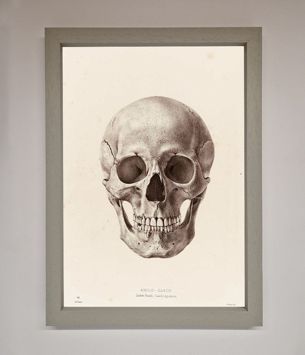 Skull Science Framed Poster - Zestio