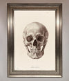 Skull Science Framed Poster - Zestio