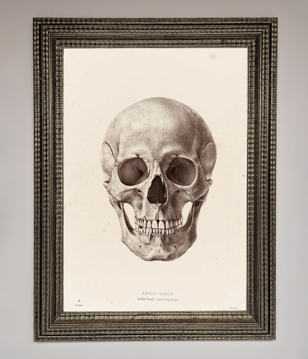 Skull Science Framed Poster - Zestio