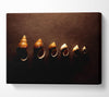 Snail Shells Canvas Wall Art - Zestio