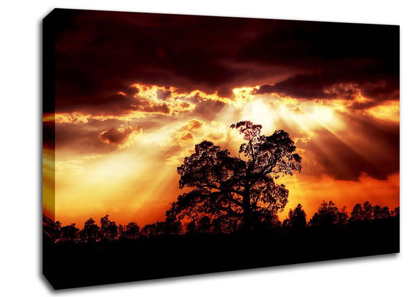 Stunning Cloud Sunrays Over The Morning Tree Canvas Wall Art - Zestio