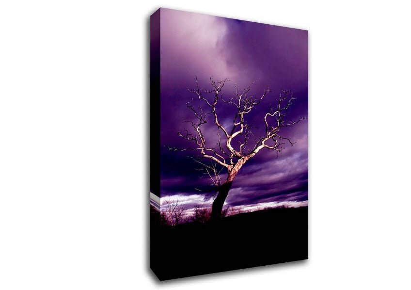 Stunning Purple Night Tree Canvas Wall Art - Zestio