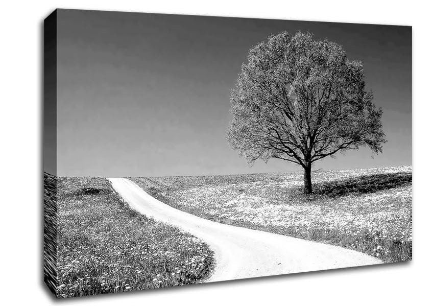 Summers Day B n W Canvas Wall Art - Zestio