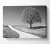 Summers Day B n W Canvas Wall Art - Zestio