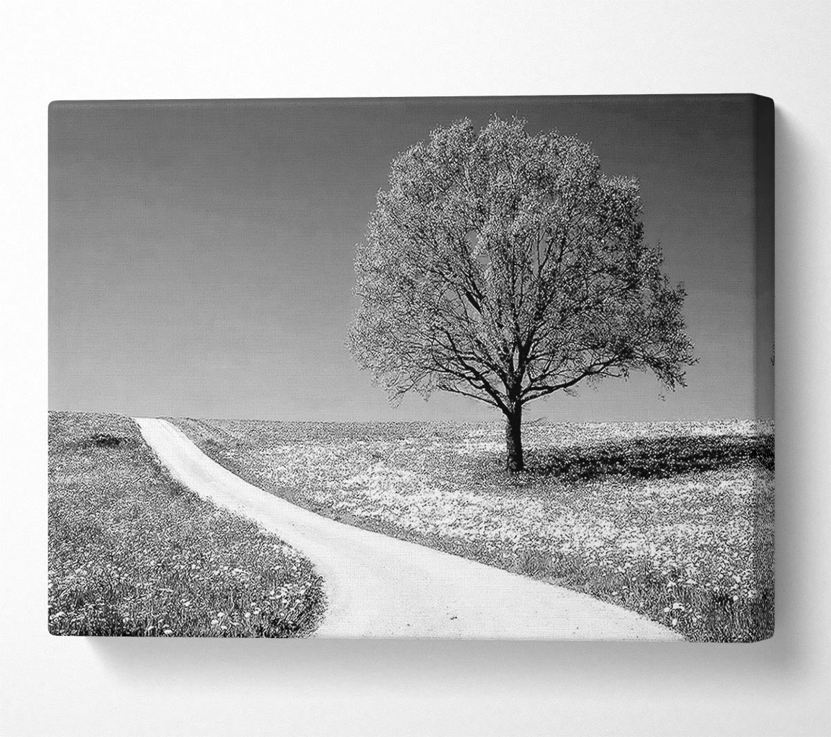 Summers Day B n W Canvas Wall Art - Zestio
