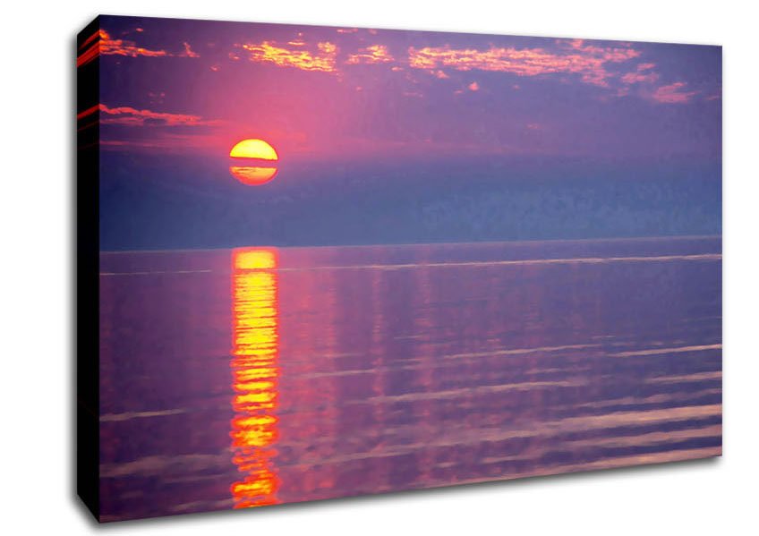 Sun Blaze Pink Canvas Wall Art - Zestio