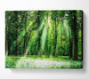 Sunbeams From Heaven Canvas Wall Art - Zestio