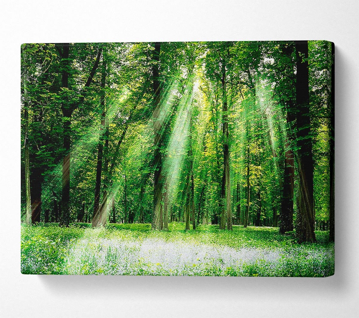 Sunbeams From Heaven Canvas Wall Art - Zestio