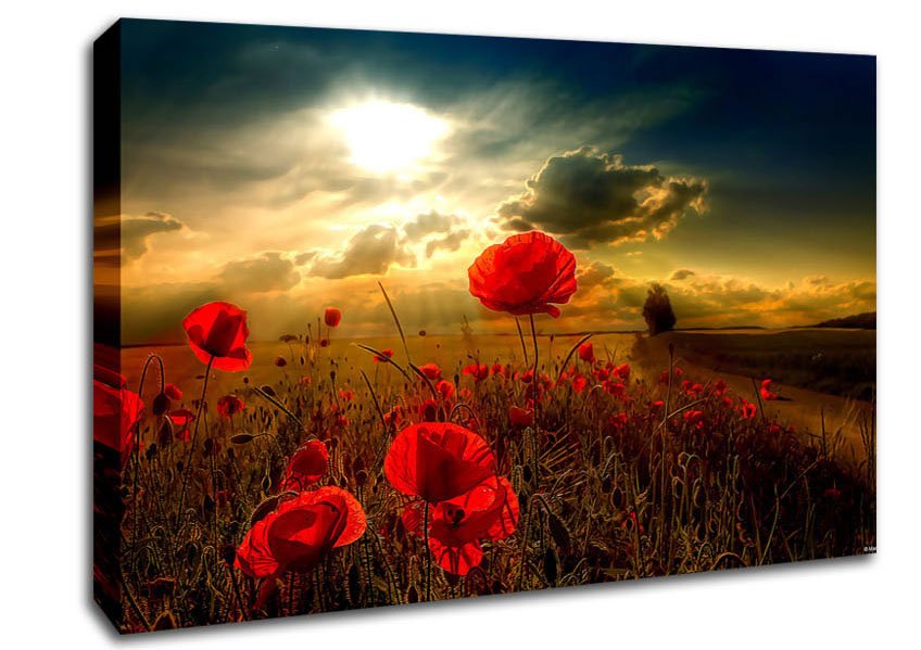 Sunlight Canvas Wall Art - Zestio