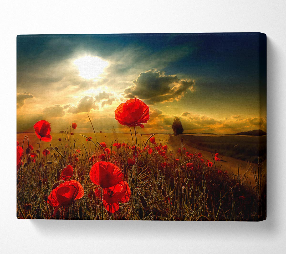Sunlight Canvas Wall Art - Zestio