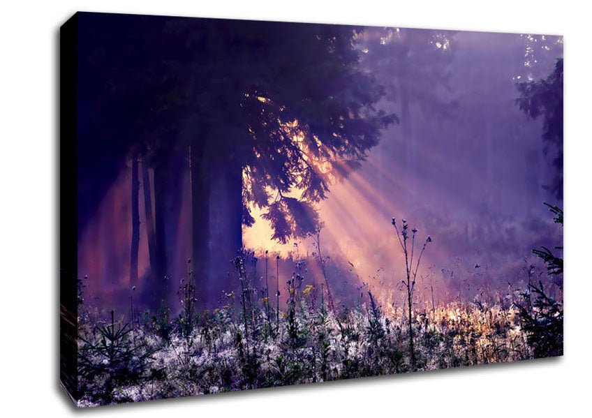Sunray Tree Canvas Wall Art - Zestio