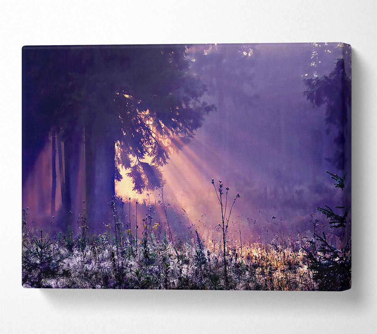 Sunray Tree Canvas Wall Art - Zestio