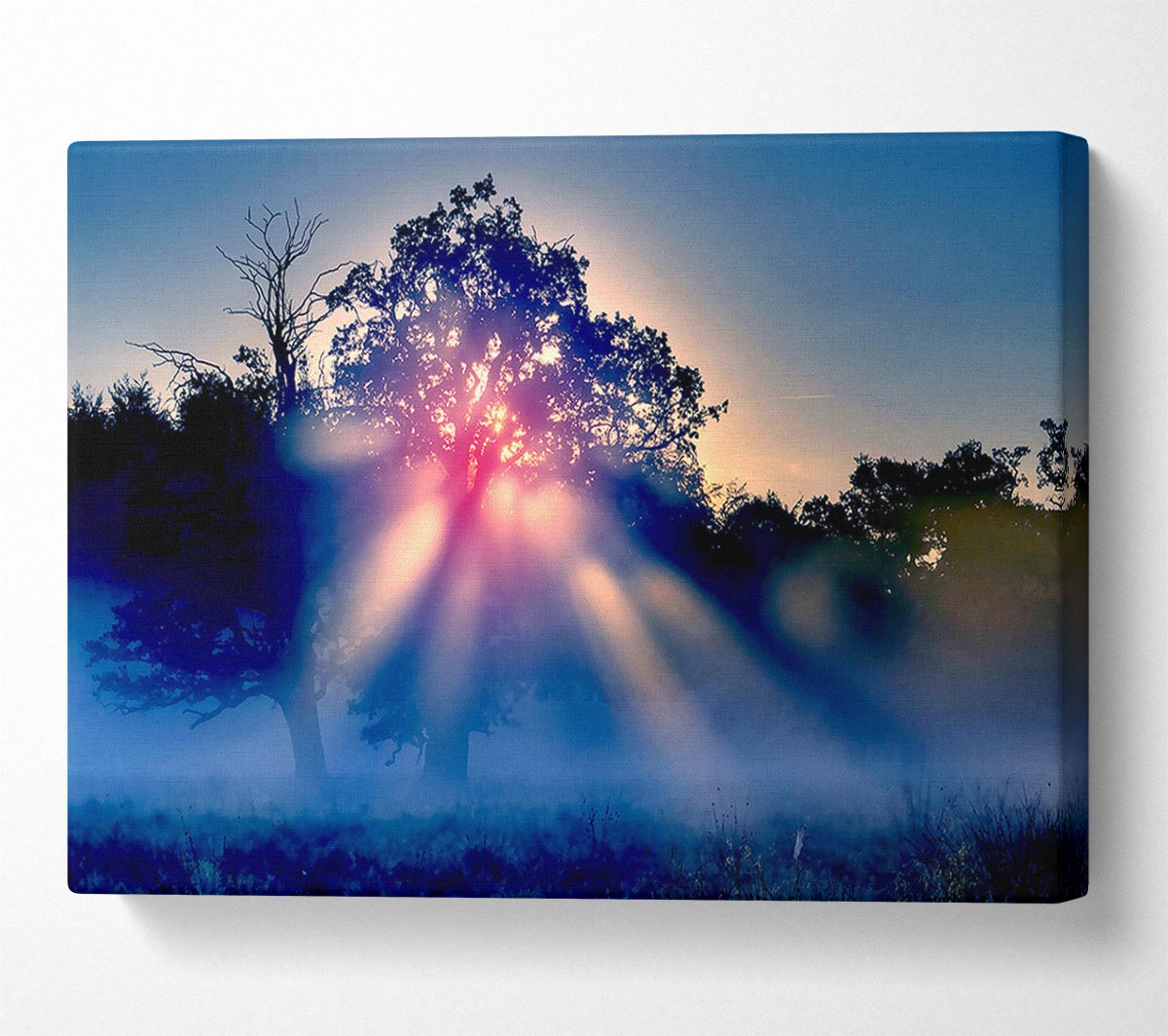 Sunset Blaze Canvas Wall Art - Zestio