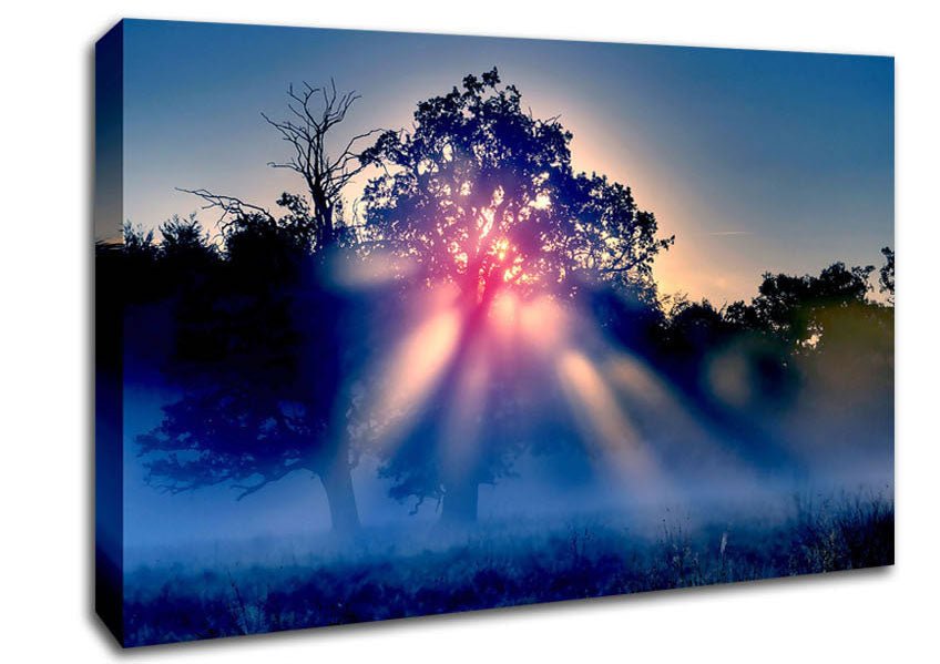 Sunset Blaze Canvas Wall Art - Zestio