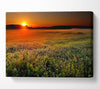 Sunset Over The Field Canvas Wall Art - Zestio