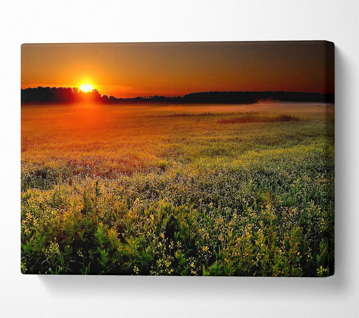 Sunset Over The Field Canvas Wall Art - Zestio