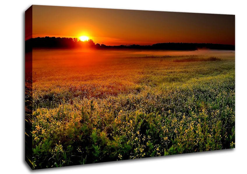 Sunset Over The Field Canvas Wall Art - Zestio