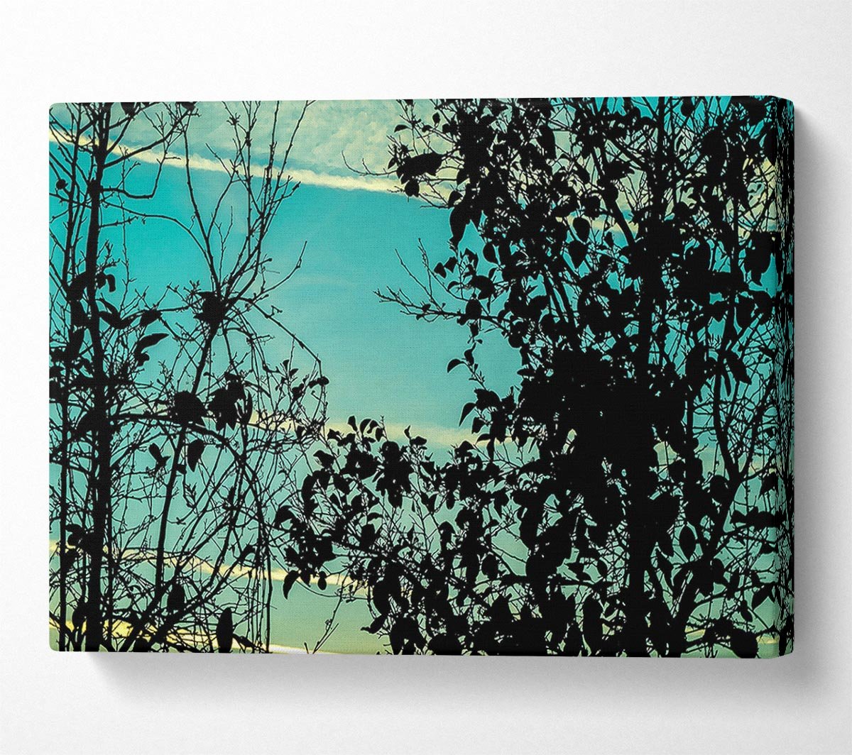 Sunset Time Canvas Wall Art - Zestio